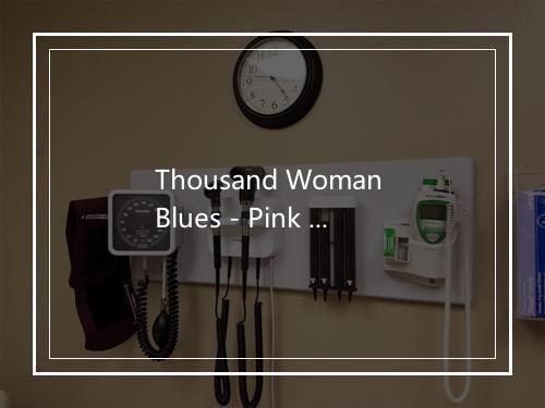 Thousand Woman Blues - Pink Anderson-歌词_3