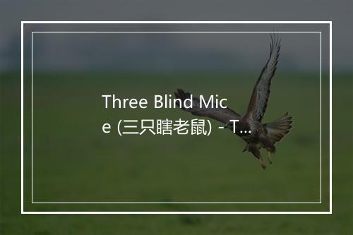 Three Blind Mice (三只瞎老鼠) - The Montreal Children's Workshop-歌词