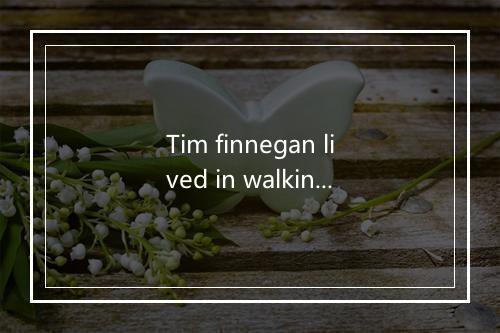 Tim finnegan lived in walkin' street-歌词