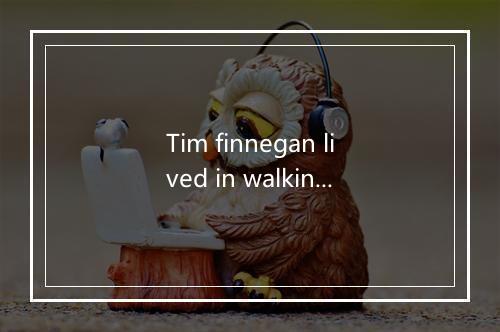 Tim finnegan lived in walkin' street-歌词_1