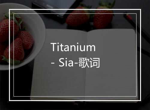 Titanium - Sia-歌词