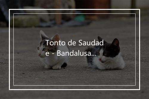 Tonto de Saudade - Bandalusa-歌词_2