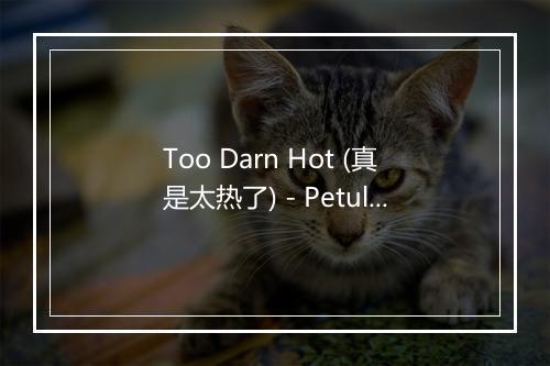 Too Darn Hot (真是太热了) - Petula Clark-歌词_1