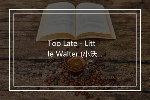 Too Late - Little Walter (小沃尔特)-歌词