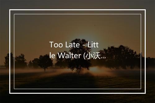 Too Late - Little Walter (小沃尔特)-歌词_2