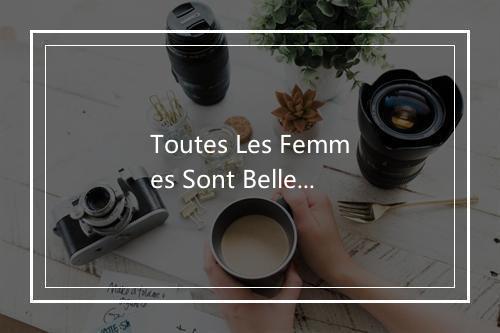 Toutes Les Femmes Sont Belles - Patrick Damie-歌词