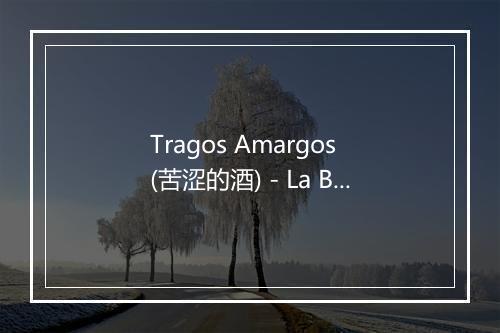 Tragos Amargos (苦涩的酒) - La Banda Latina-歌词_2