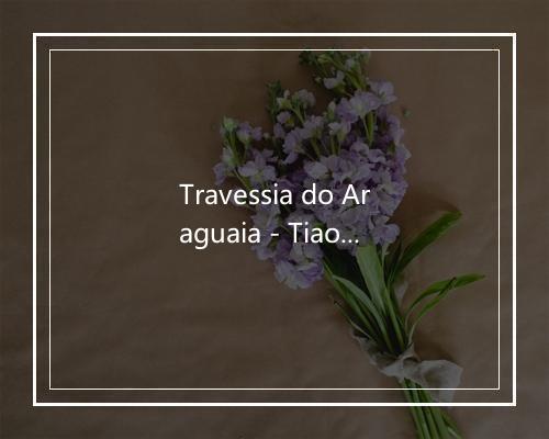 Travessia do Araguaia - Tiao Carreiro & Pardinho-歌词