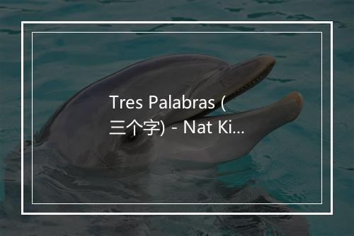 Tres Palabras (三个字) - Nat King Cole (纳·京·高尔)-歌词_1