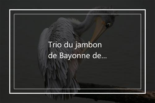 Trio du jambon de Bayonne de tromb al cazar - Chanson Plus Bifluoree-歌词