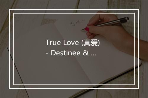 True Love (真爱) - Destinee & Paris (德斯蒂妮与巴黎)-歌词