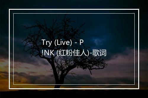 Try (Live) - P!NK (红粉佳人)-歌词