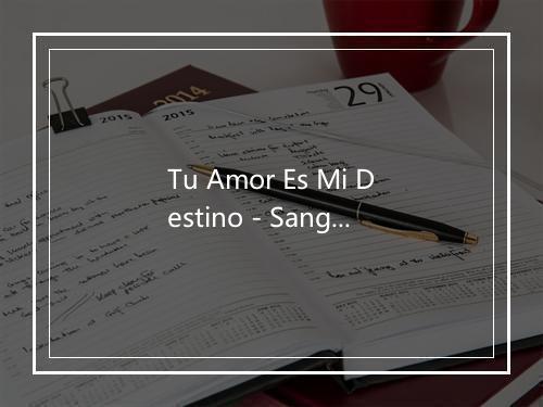 Tu Amor Es Mi Destino - Sangre Nueva-歌词