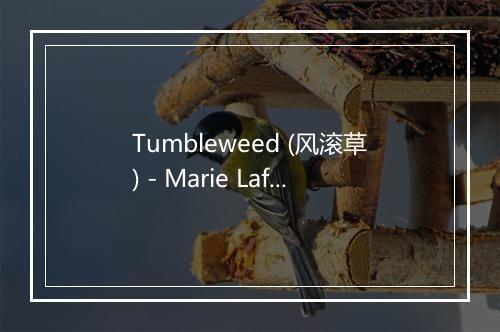 Tumbleweed (风滚草) - Marie Laforêt-歌词