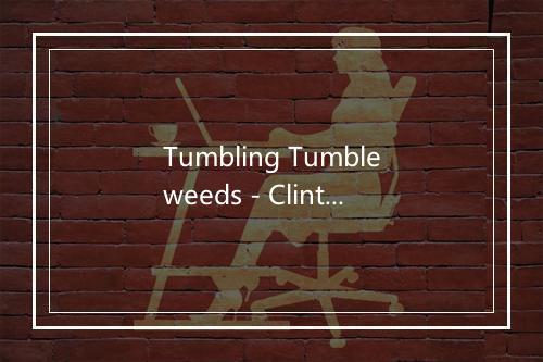 Tumbling Tumbleweeds - Clint Eastwood-歌词_2