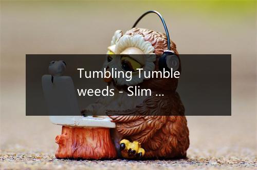 Tumbling Tumbleweeds - Slim Whitman-歌词_1