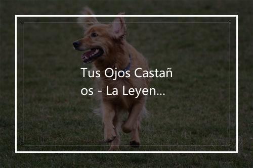 Tus Ojos Castaños - La Leyenda-歌词