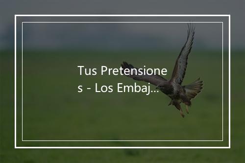 Tus Pretensiones - Los Embajadores Criollos-歌词