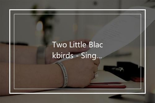 Two Little Blackbirds - Sing N Play-歌词