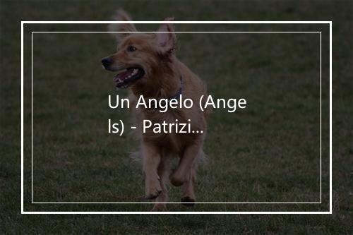 Un Angelo (Angels) - Patrizio Buanne (帕吉欧)-歌词