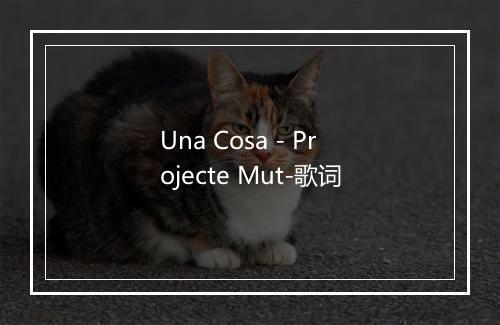 Una Cosa - Projecte Mut-歌词