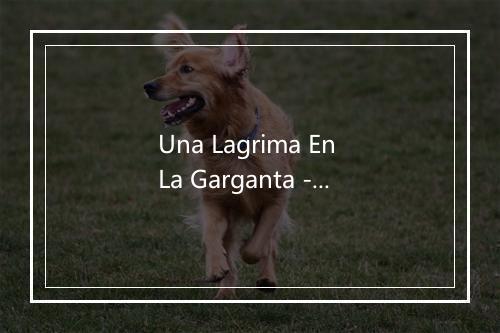 Una Lagrima En La Garganta - Grupo Miramar-歌词