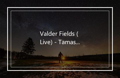 Valder Fields (Live) - Tamas Wells-歌词