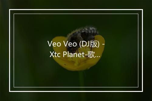 Veo Veo (DJ版) - Xtc Planet-歌词