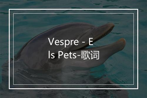 Vespre - Els Pets-歌词