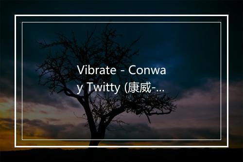 Vibrate - Conway Twitty (康威-特威提)-歌词