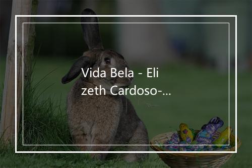 Vida Bela - Elizeth Cardoso-歌词