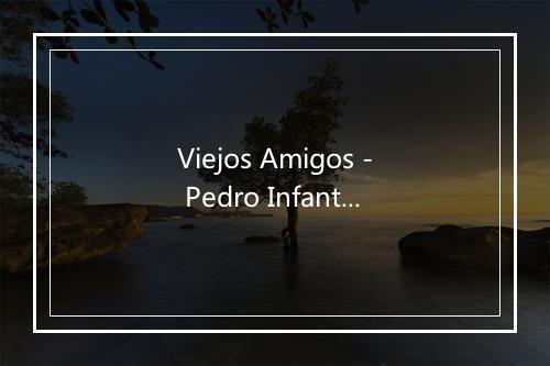 Viejos Amigos - Pedro Infante-歌词