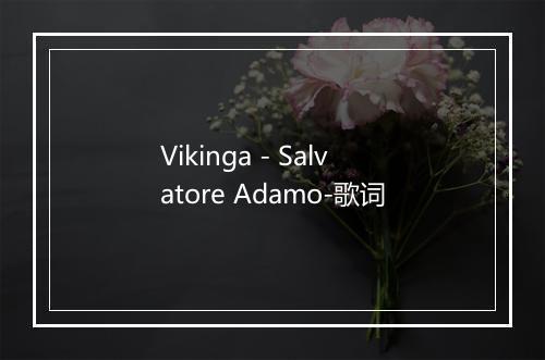 Vikinga - Salvatore Adamo-歌词