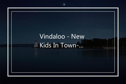 Vindaloo - New Kids In Town-歌词_2