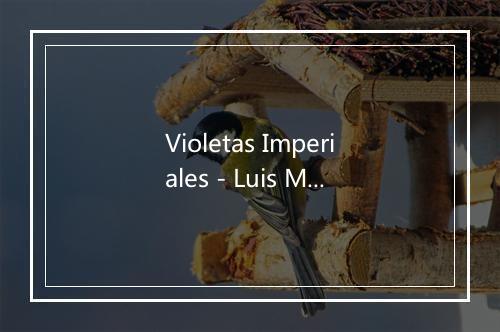 Violetas Imperiales - Luis Mariano-歌词_2