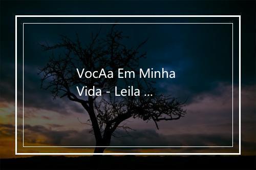 VocAa Em Minha Vida - Leila Pinheiro-歌词