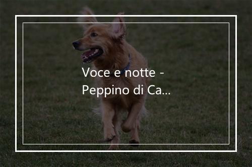 Voce e notte - Peppino di Capri-歌词