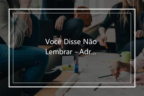 Você Disse Não Lembrar - Adriana Calcanhotto-歌词