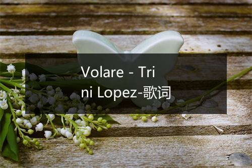 Volare - Trini Lopez-歌词