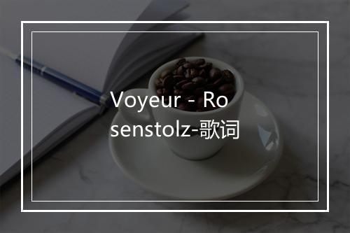 Voyeur - Rosenstolz-歌词