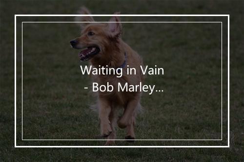 Waiting in Vain - Bob Marley (鲍勃·马利)-歌词