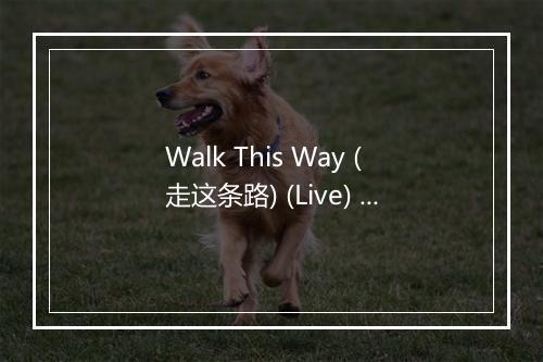 Walk This Way (走这条路) (Live) - Aerosmith (史密斯飞船)-歌词