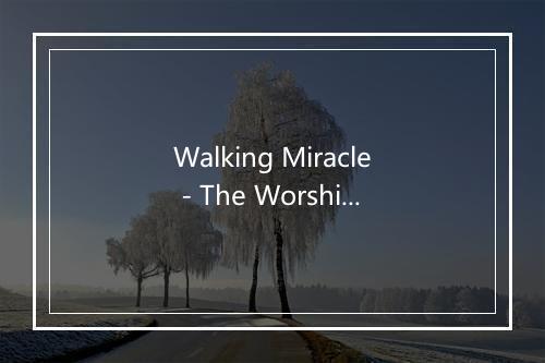 Walking Miracle - The Worship Crew-歌词