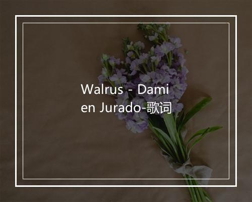 Walrus - Damien Jurado-歌词