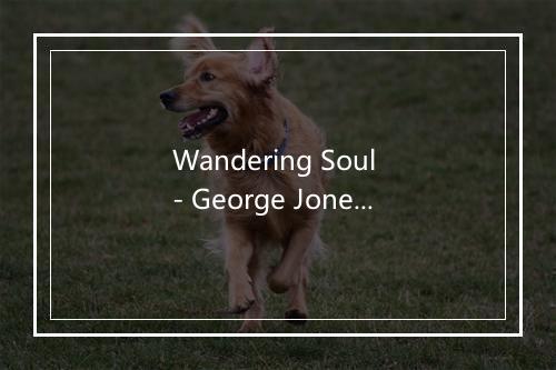 Wandering Soul - George Jones (乔治·琼斯)-歌词_1