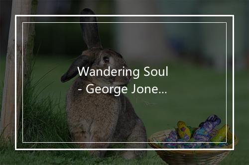 Wandering Soul - George Jones-歌词