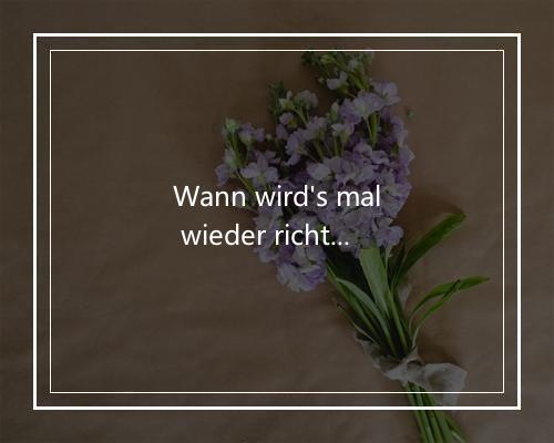 Wann wird's mal wieder richtig Sommer (什么时候开始又是夏天) - Die Partygeier-歌词