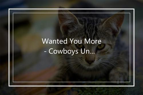 Wanted You More - Cowboys Undercover-歌词