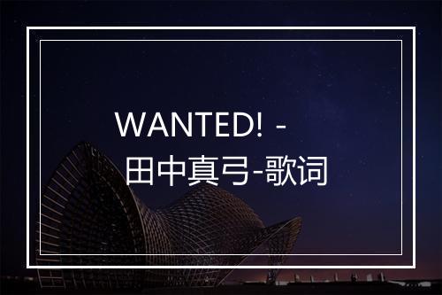 WANTED! - 田中真弓-歌词