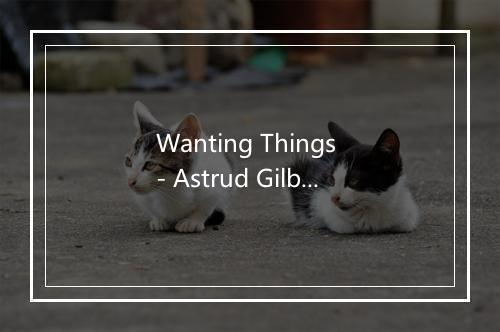 Wanting Things - Astrud Gilberto (艾斯特·吉芭托)-歌词